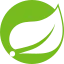 Spring logo